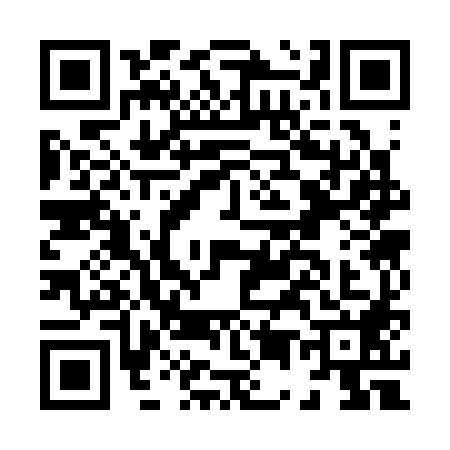 QR code for H533886