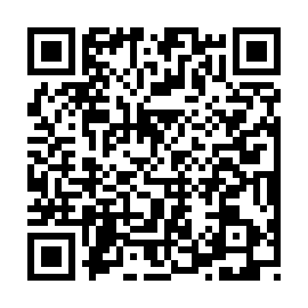 QR code for H535538