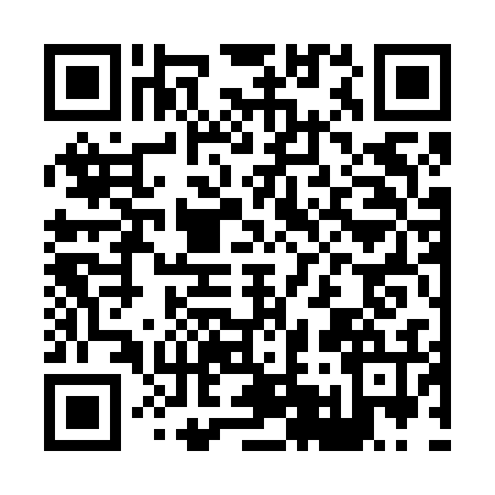 QR code for H536360