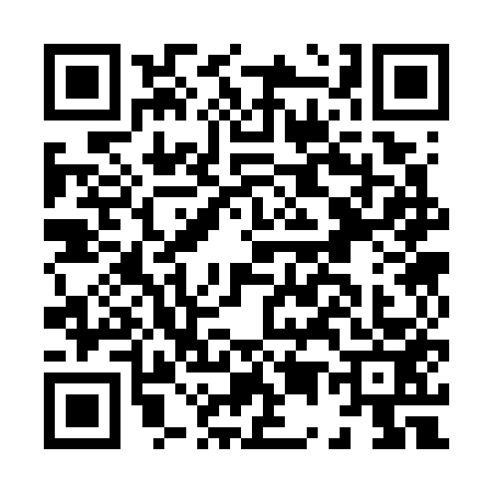 QR code for H537533