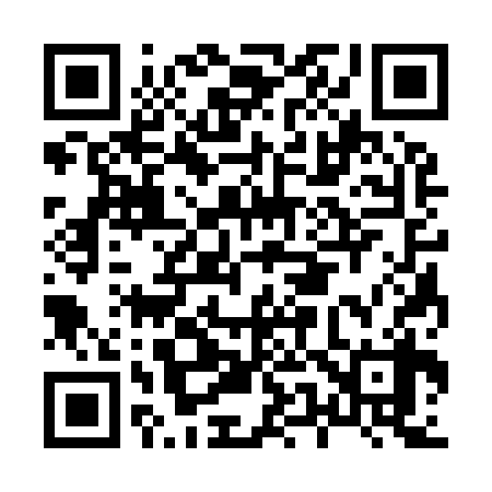 QR code for H53938