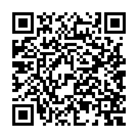 QR code for H541061