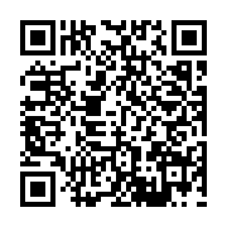 QR code for H541390