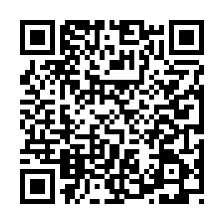QR code for H542458