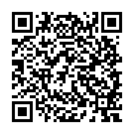 QR code for H54788