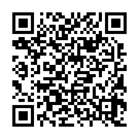 QR code for H55238