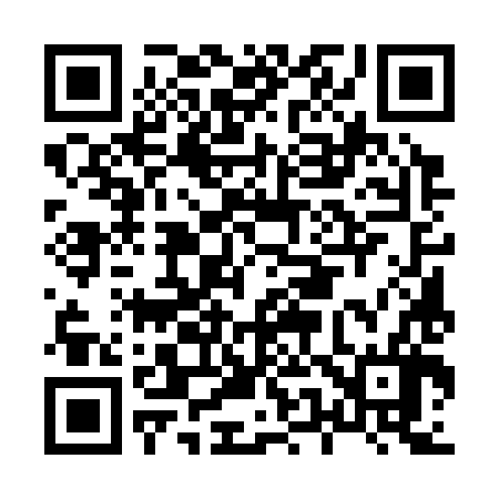 QR code for H55386