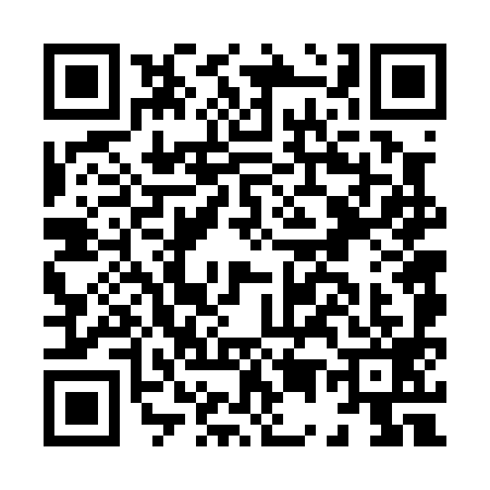 QR code for H560991