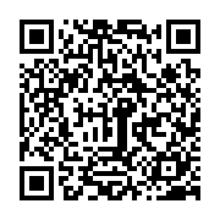 QR code for H56325