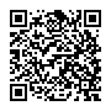 QR code for H56383