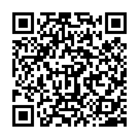 QR code for H56438