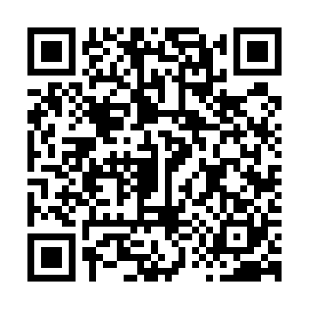 QR code for H565203
