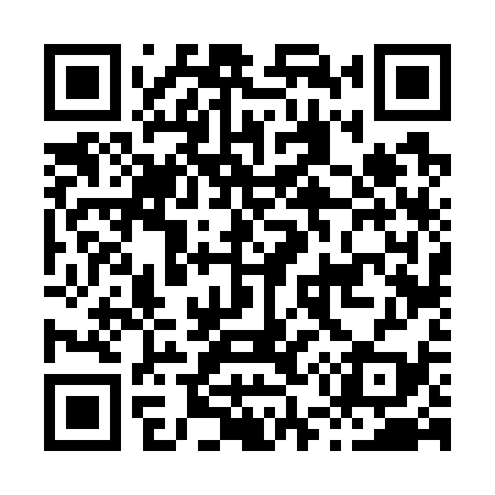 QR code for H56739