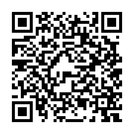 QR code for H570663
