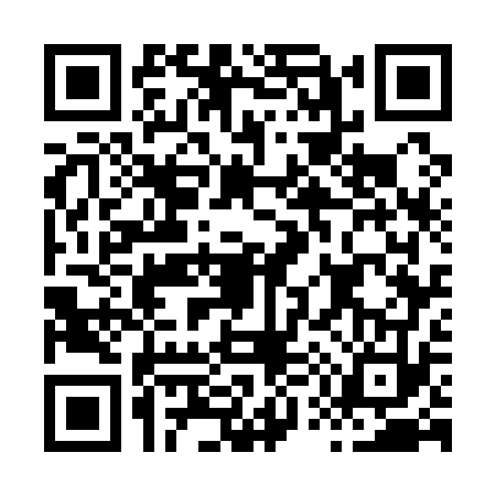 QR code for H571737