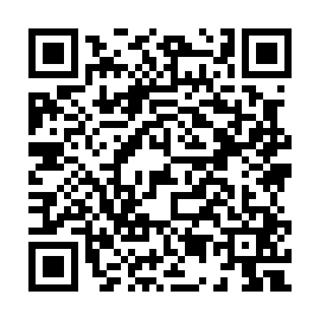 QR code for H590411