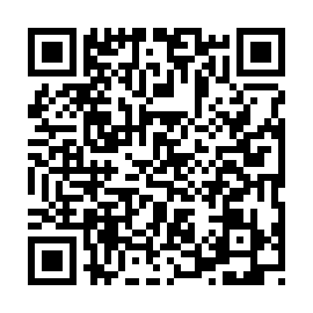 QR code for H593395