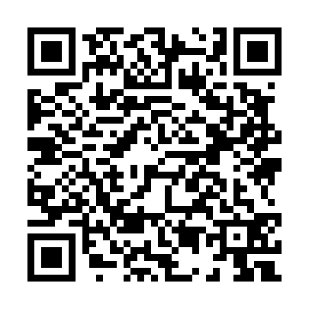 QR code for H594329