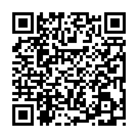 QR code for H594364