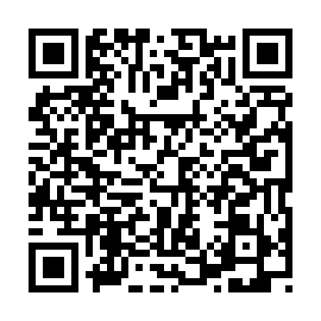 QR code for H594595