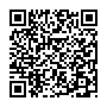 QR code for H595821