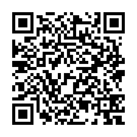 QR code for H596394