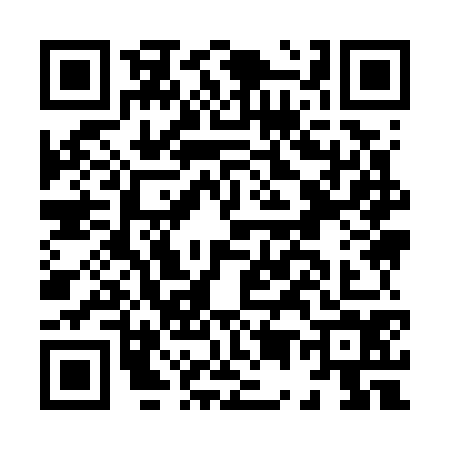 QR code for H597746