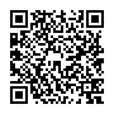 QR code for H609396