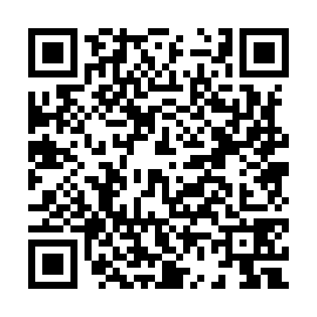 QR code for H609787