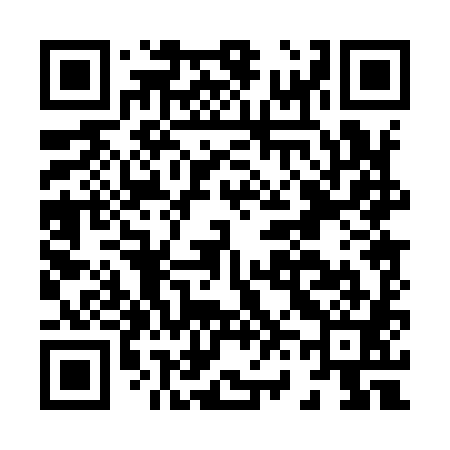 QR code for H60981