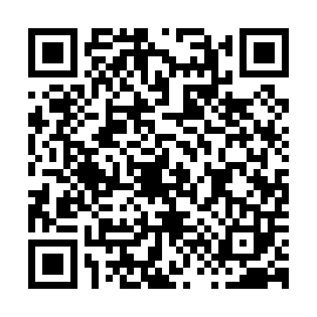 QR code for H610033