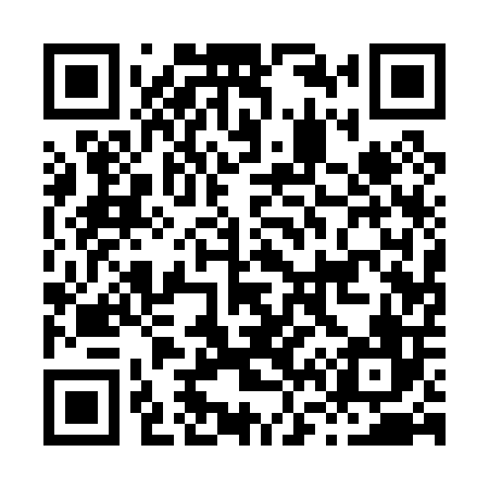 QR code for H61006