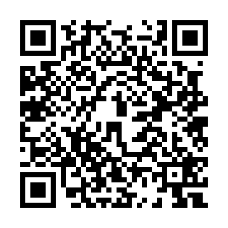QR code for H620291