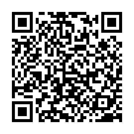 QR code for H63109