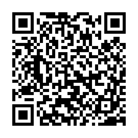 QR code for H63463