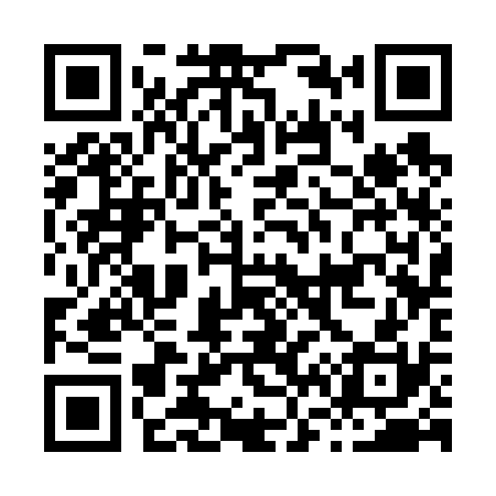 QR code for H63630