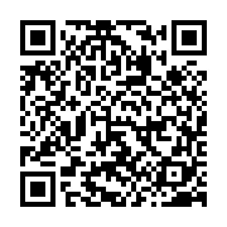 QR code for H63868