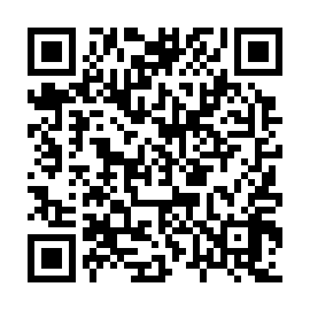 QR code for H64318