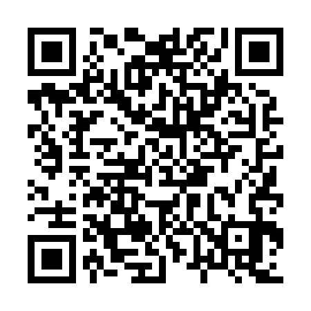 QR code for H64833