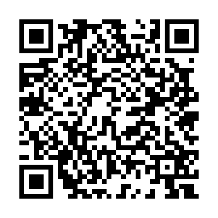 QR code for H650266