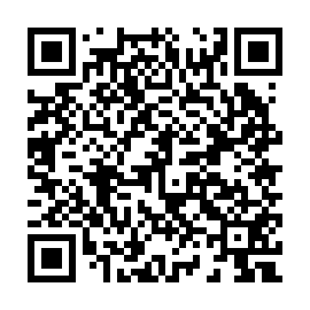 QR code for H65251