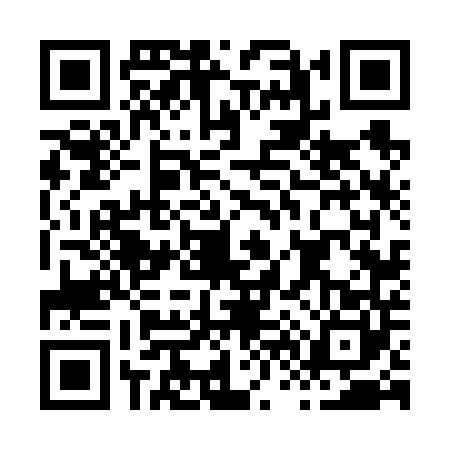 QR code for H666403