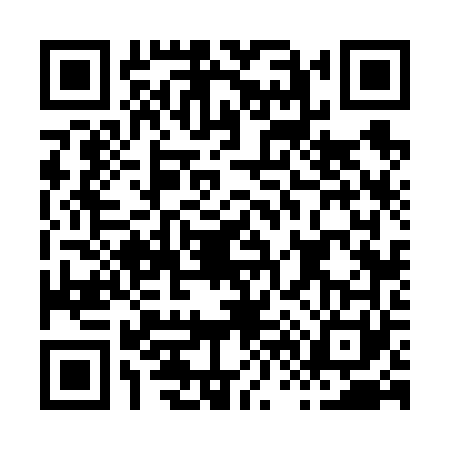 QR code for H666613