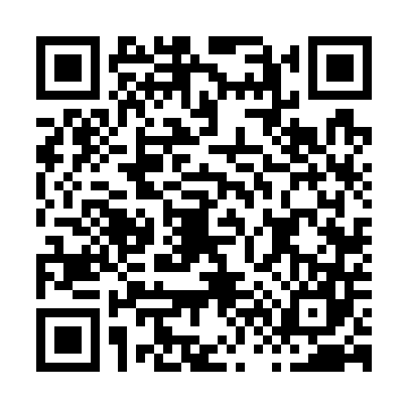 QR code for H667478