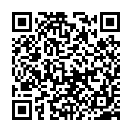 QR code for H67294