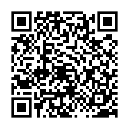 QR code for H675653