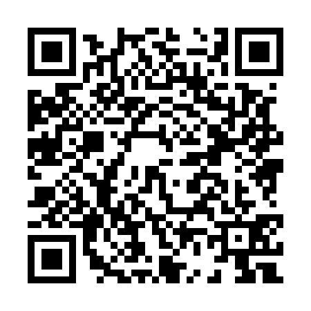 QR code for H685317