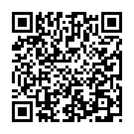 QR code for H687500