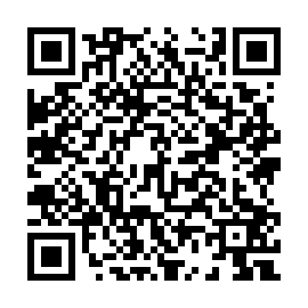 QR code for H697033
