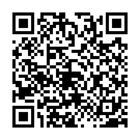 QR code for H697311